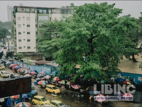 Kinshasa's Last Baobab: An Analytical Look at Urban Growth, Culture, and the Fight to Protect a Symbol
