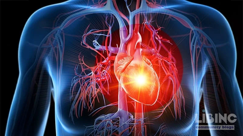 Universal Definition of Heart Failure: Flexible LVEF Categories, Expanded Causes, and Implications for Prevention