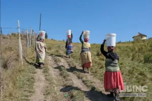 Rural water, sanitation and energy for food security: Empowering women-led households in South Africa
