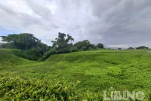 Hara Castle and the Shimabara Rebellion: Fortifications, Siege, and Aftermath