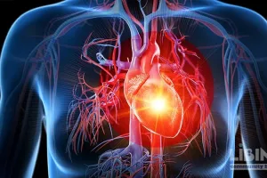 Universal Definition of Heart Failure: Flexible LVEF Categories, Expanded Causes, and Implications for Prevention