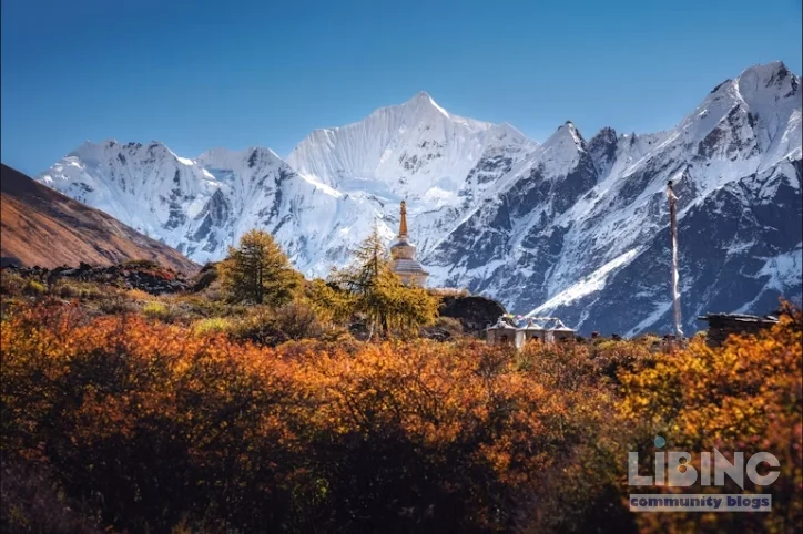 Himalayan Snowfall Measurement: Improved Estimates and Water Resource Implications
