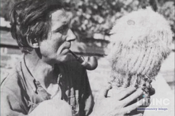 Illicit Cactus Trade and Czech Collectors: An Analytical View on Conservation, Demand, and Regulation