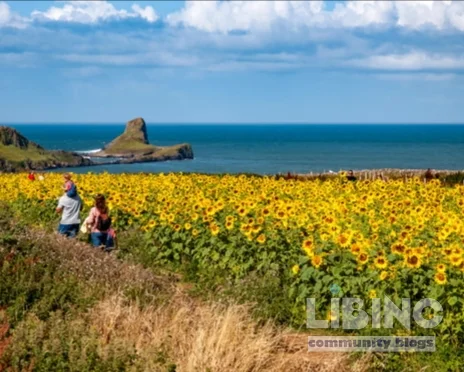 UK Summer Outdoor Experiences: Nature Trails, Coastal Escapes and Heritage Adventures