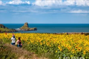 UK Summer Outdoor Experiences: Nature Trails, Coastal Escapes and Heritage Adventures