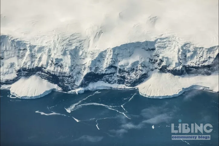 How mantle waves and uplift shaped the East Antarctic Ice Sheet formation