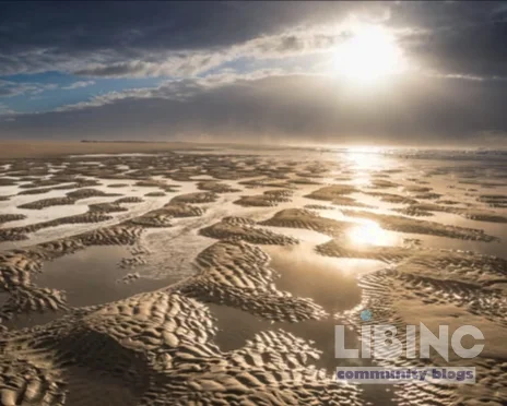 The Wadden Sea Unpacked: Ecology, Travel, and Tides on Norderney and the East Frisian Islands