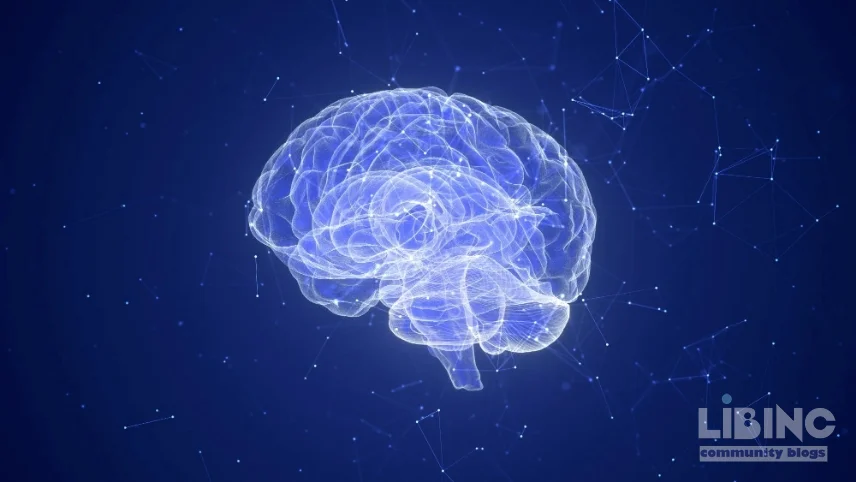 Immunopsychiatry and the Immune Basis of Psychiatric Disorders: Toward Biomarker-Driven Subtypes