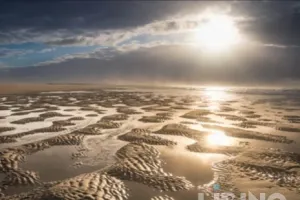 The Wadden Sea Unpacked: Ecology, Travel, and Tides on Norderney and the East Frisian Islands