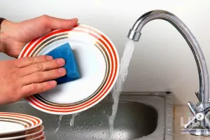 Kitchen Sponges as Hidden Reservoirs of Foodborne Pathogens: Analytical Insights into Transmission, Risk, and Prevention