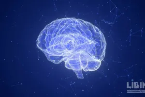 Immunopsychiatry and the Immune Basis of Psychiatric Disorders: Toward Biomarker-Driven Subtypes