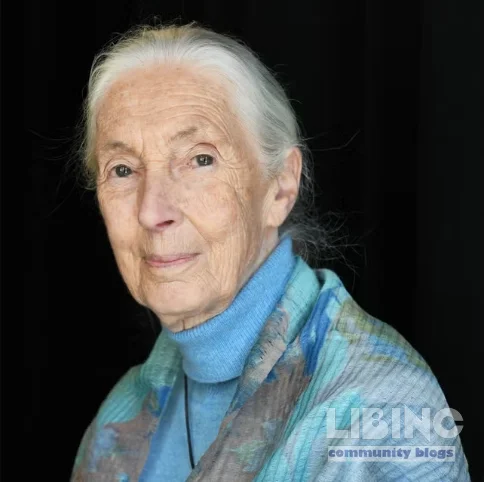 Jane Goodall: An analytical portrait of the primatologist who shaped conservation and science