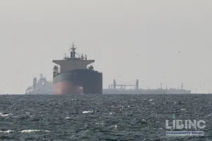 Air denial at the Strait of Hormuz: Iran's strategy to constrain U.S. power