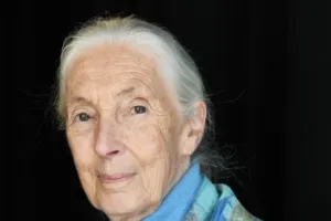 Jane Goodall: An analytical portrait of the primatologist who shaped conservation and science