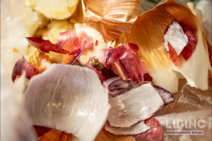 Onion Skins in the Garden: Nutrients, Pest Deterrence, and Practical Uses