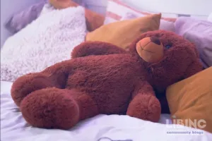 AI Teddy Bears: An Analyst's View on Benefits, Risks, and Safe Design Imperatives