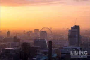 Air pollution policy: lessons from the Great Smog and the Clean Air Act