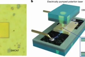 Electrically pumped perovskite polariton laser diode: architecture, mechanism, and prospects