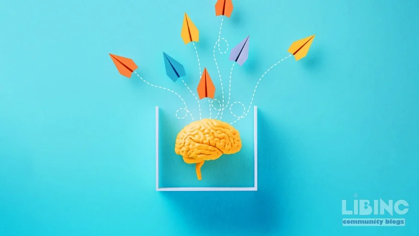 Design constraints in STEM education: How boundaries spark creativity and perseverance