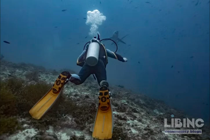 Analytics of the impact of scuba diving on coral reefs: how diver behavior, psychology, and policy shape reef conservation