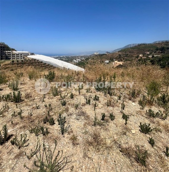 Plot of 541 m2 with a building permit, four and a half kilometers from the sea-id-6909-photo-1