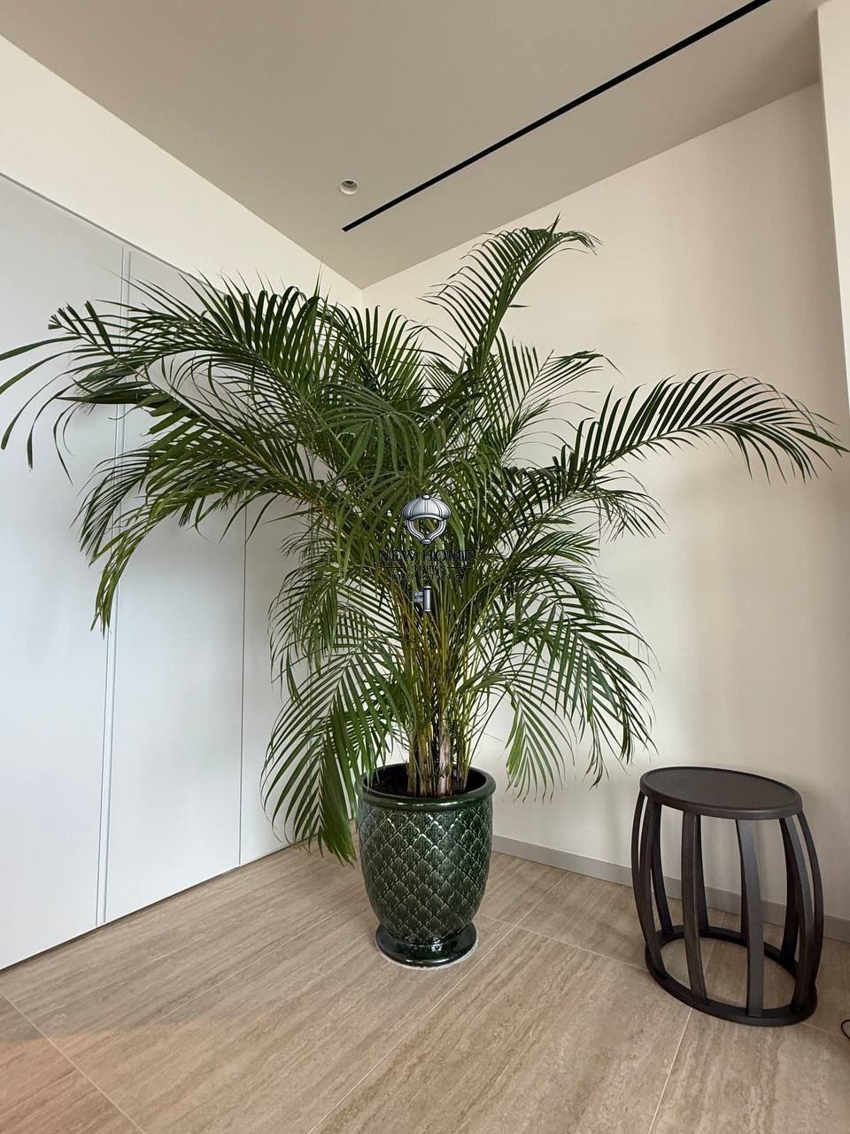 Apartment, 3 bedrooms — 2