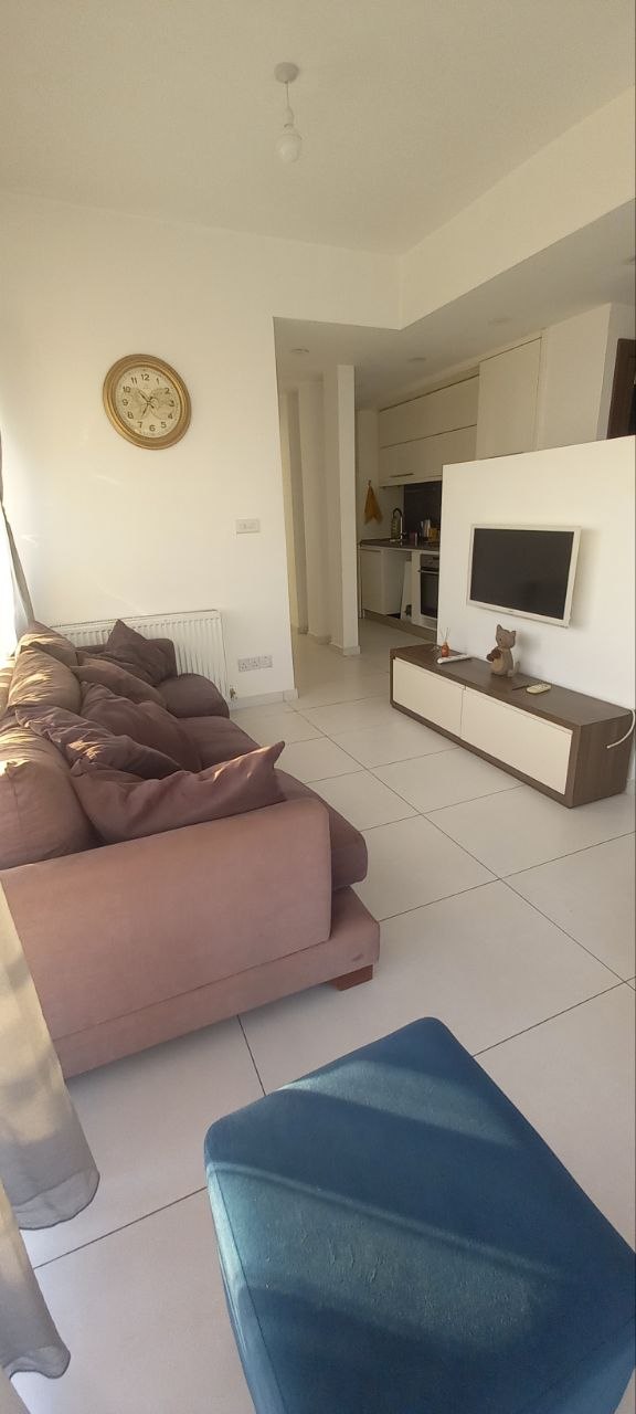 Apartment, 1 bedroom — 2