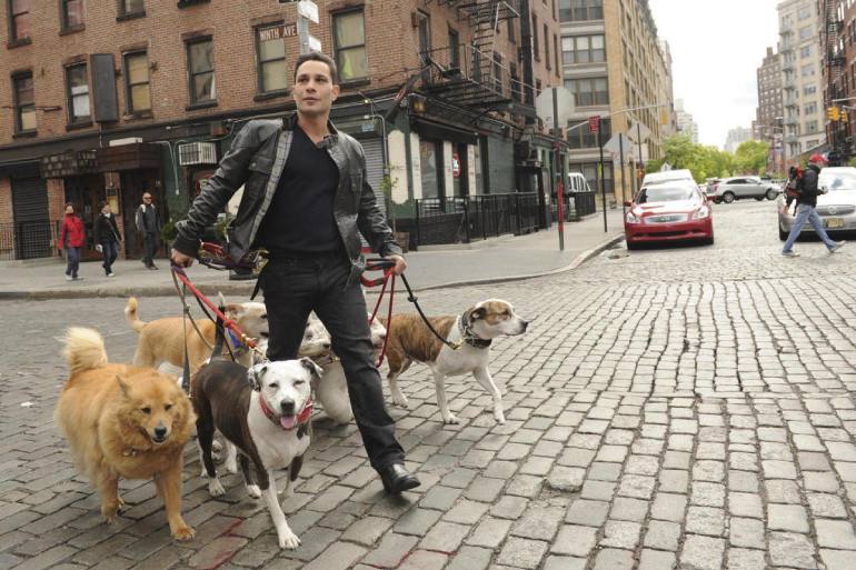 Кучето с (много) лошо поведение - Сезони 1, 2 & 3 - Премиера по CBS Reality