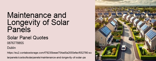 Analyzing the Return on Investment for Solar Panels