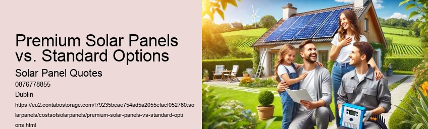 Premium Solar Panels vs. Standard Options