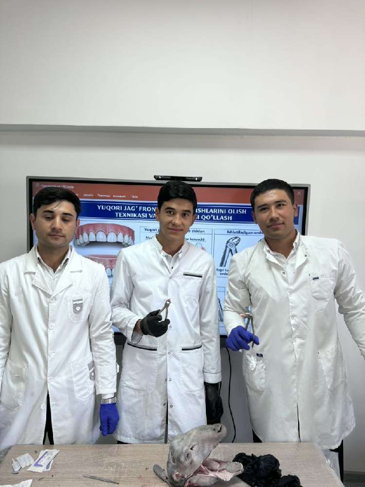 3s22 guruhi 