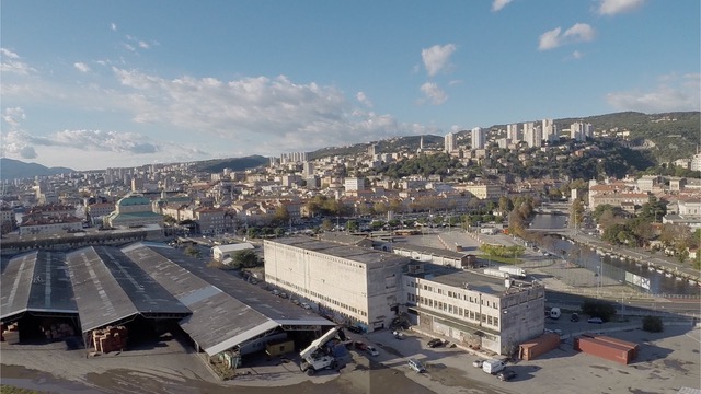 Delta - obilje umjetnosti