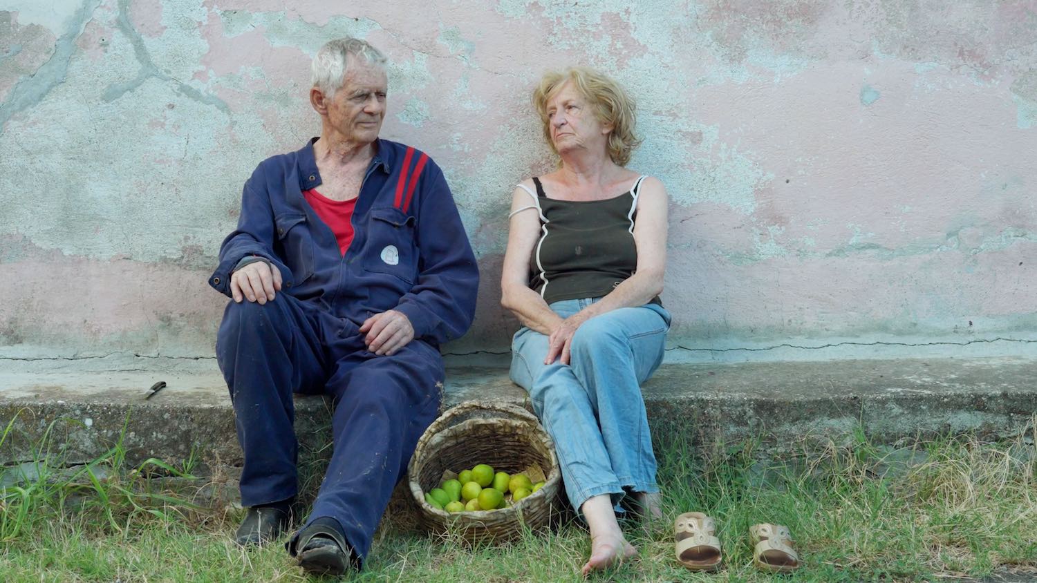 Vukovi će se vratiti